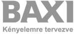 logo_baxi2